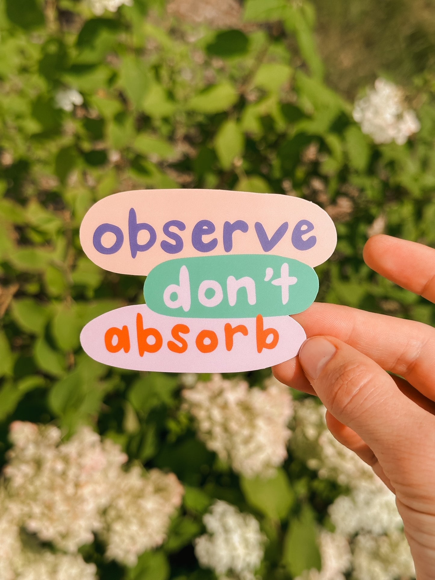 Observe Don't Absorb Sticker