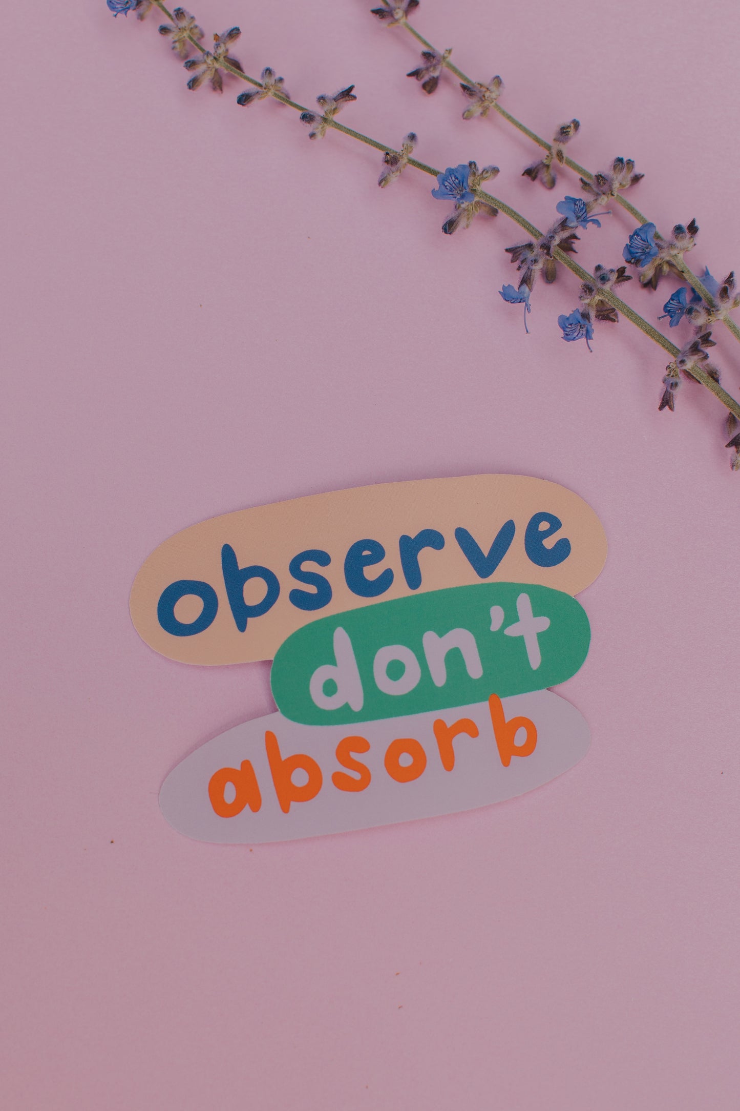 Observe Don't Absorb Sticker